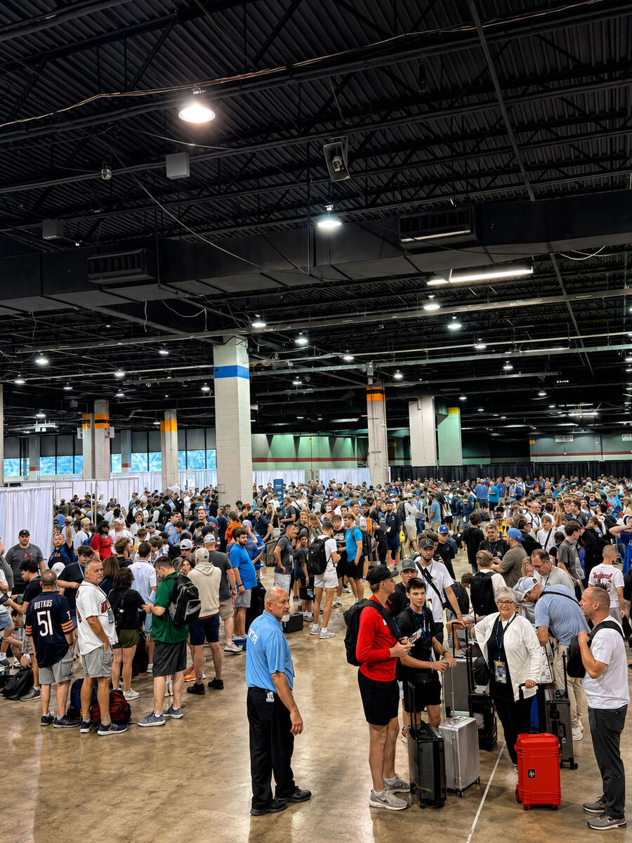 Crowds